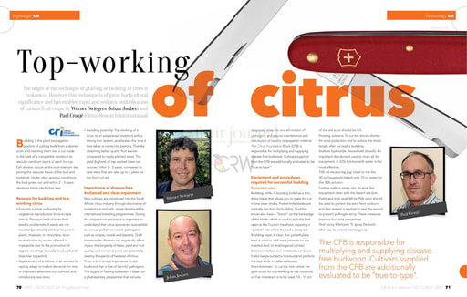 Top working of citrus
