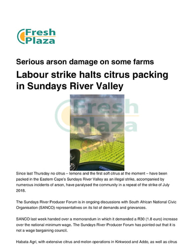 Labour strike halts citrus packing in Sundays River Valley