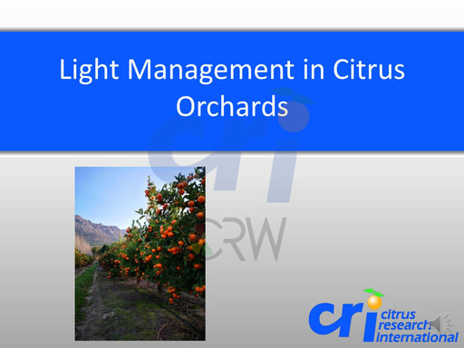Light Management in Citrus Orchards