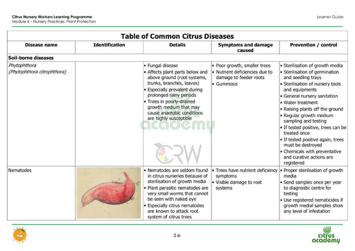 Module 6.2 Nursery Practices: Plant Protection