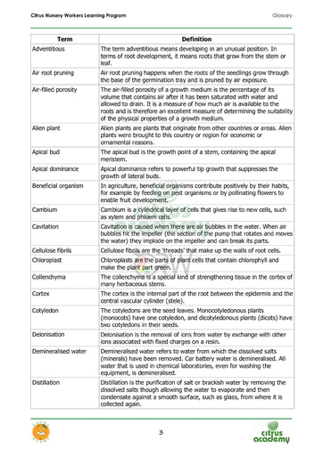 Module 8 Glossary