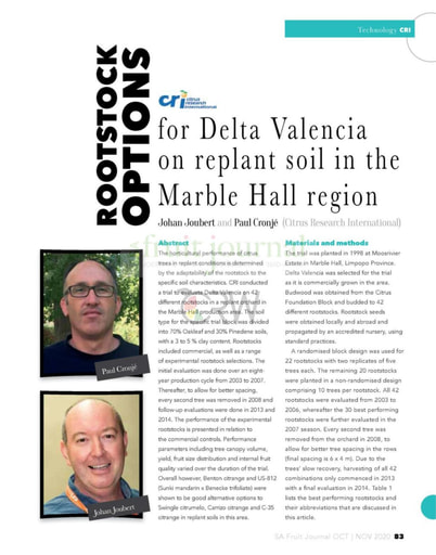 Rootstock options for Delta Valencia on replant soil...