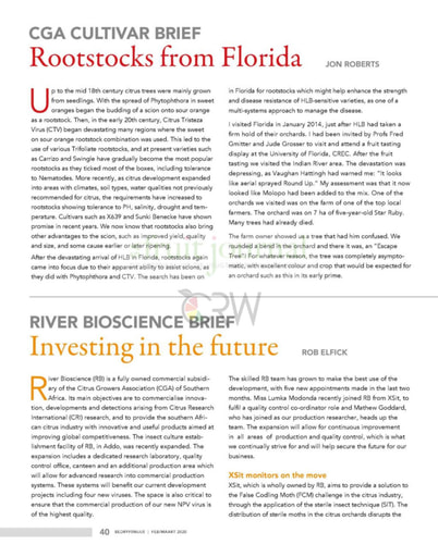 Investing in the future