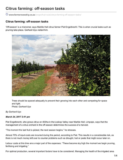 Citrus farming: off-season tasks