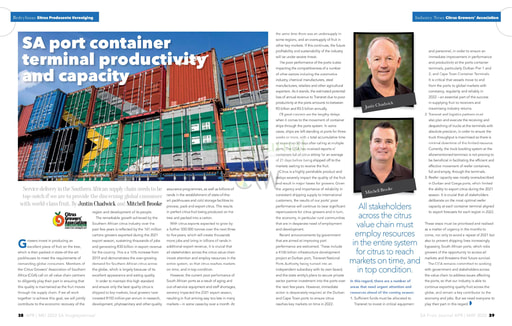 SA port container terminal productivity and capacity