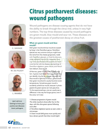Citrus postharvest diseases: wound pathogens