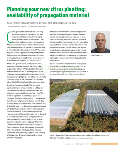 Planning your new citrus planting: availability of propagation material