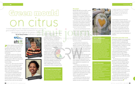 Green mould on citrus